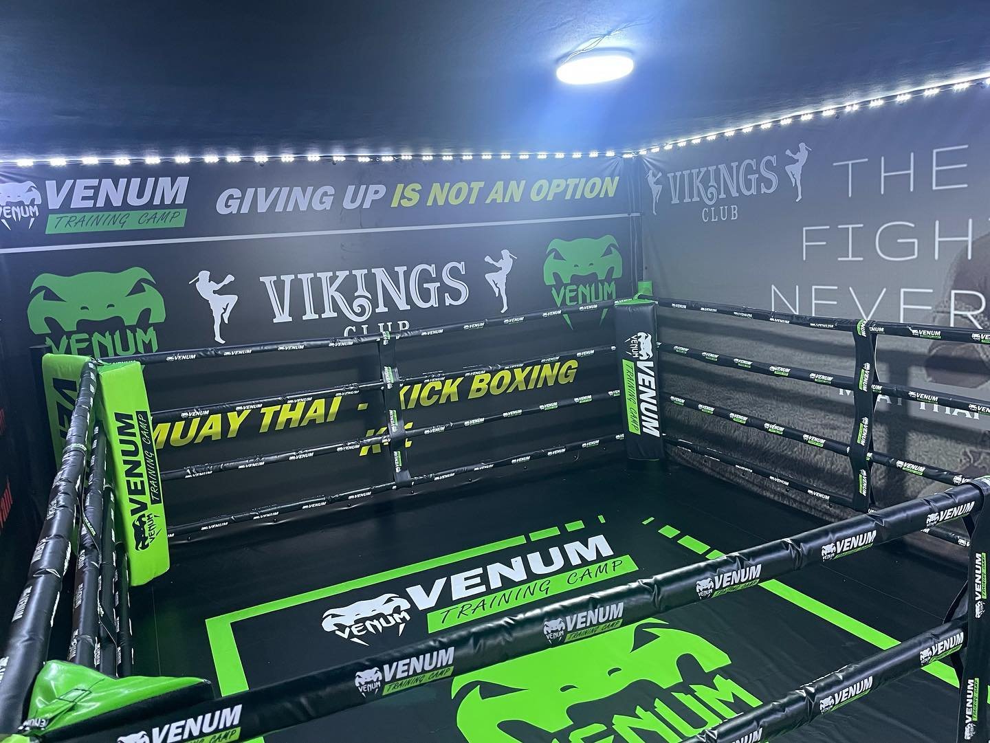 Zone d'entraînement fonctionnel au Vikings Club