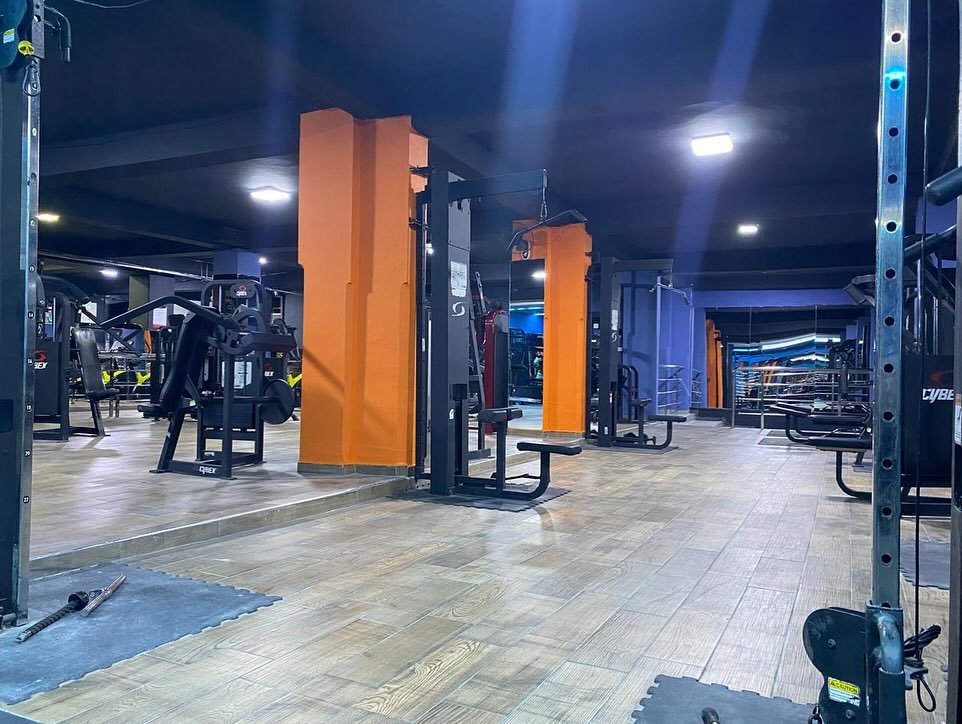 Équipement professionnel de musculation